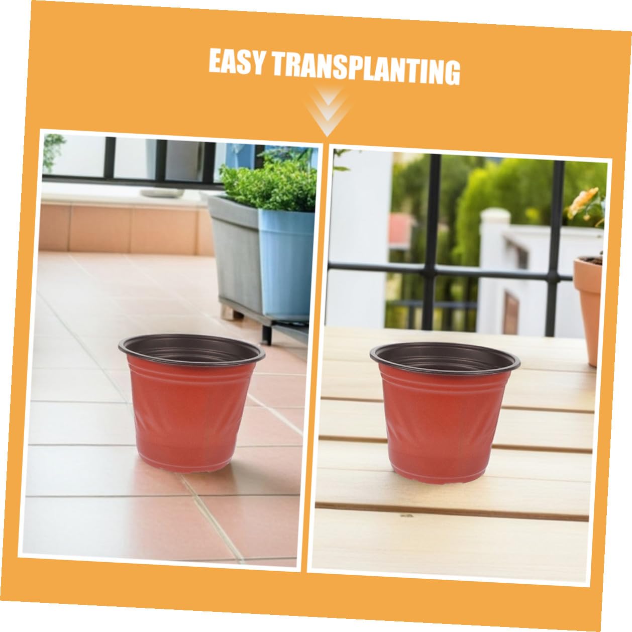 60 pièces Lot de Pots de Semis Ronds Plastique PP à Drainage Pots Légers pour Succulentes et Jardinage Intérieur Extérieur pour Plantation et Bouturage