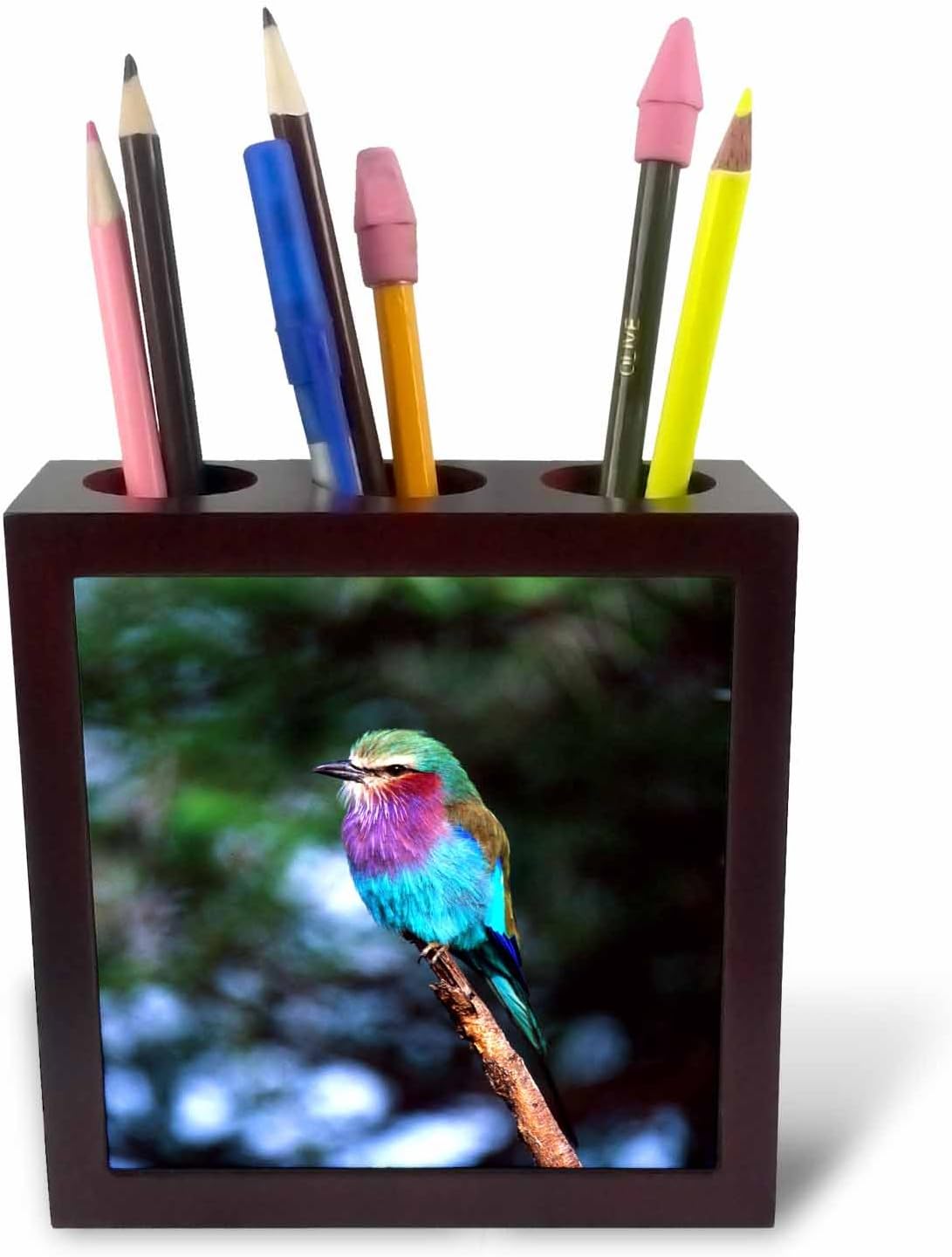 3dRose Lilac Breasted Roller, bird, Tanzania Africa - NA02 DNO0171 - David Northcott 5 inch tile pen holder image 2
