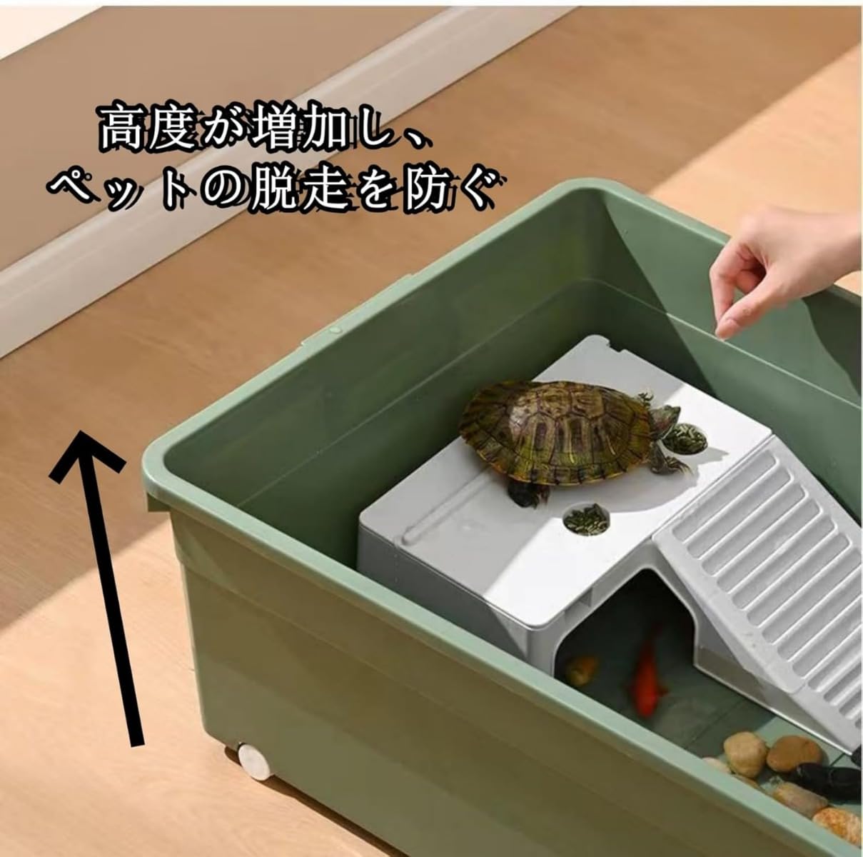 Amazon | 亀水槽 大きい ボックス カメ槽 亀飼育用プラスチック水槽