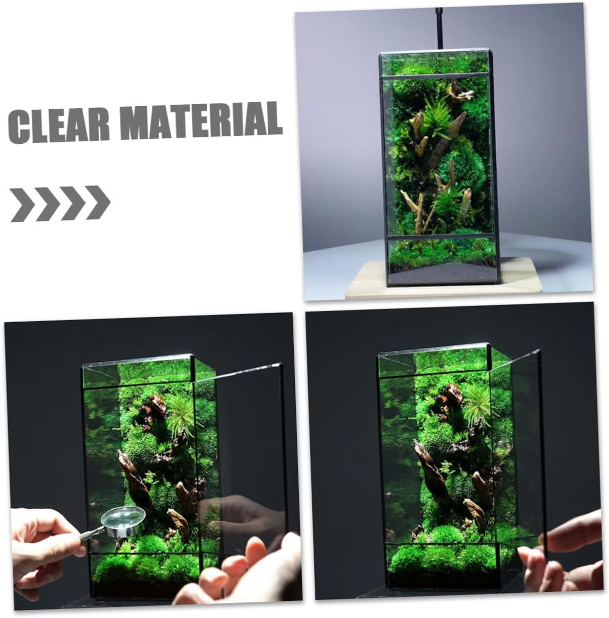 BESPORTBLE Geometric Glass Terrarium Miniature Moss Landscape Planter for Indoor Home Decor Compact Clear Container for Succulent Plants and Micro Landscapes