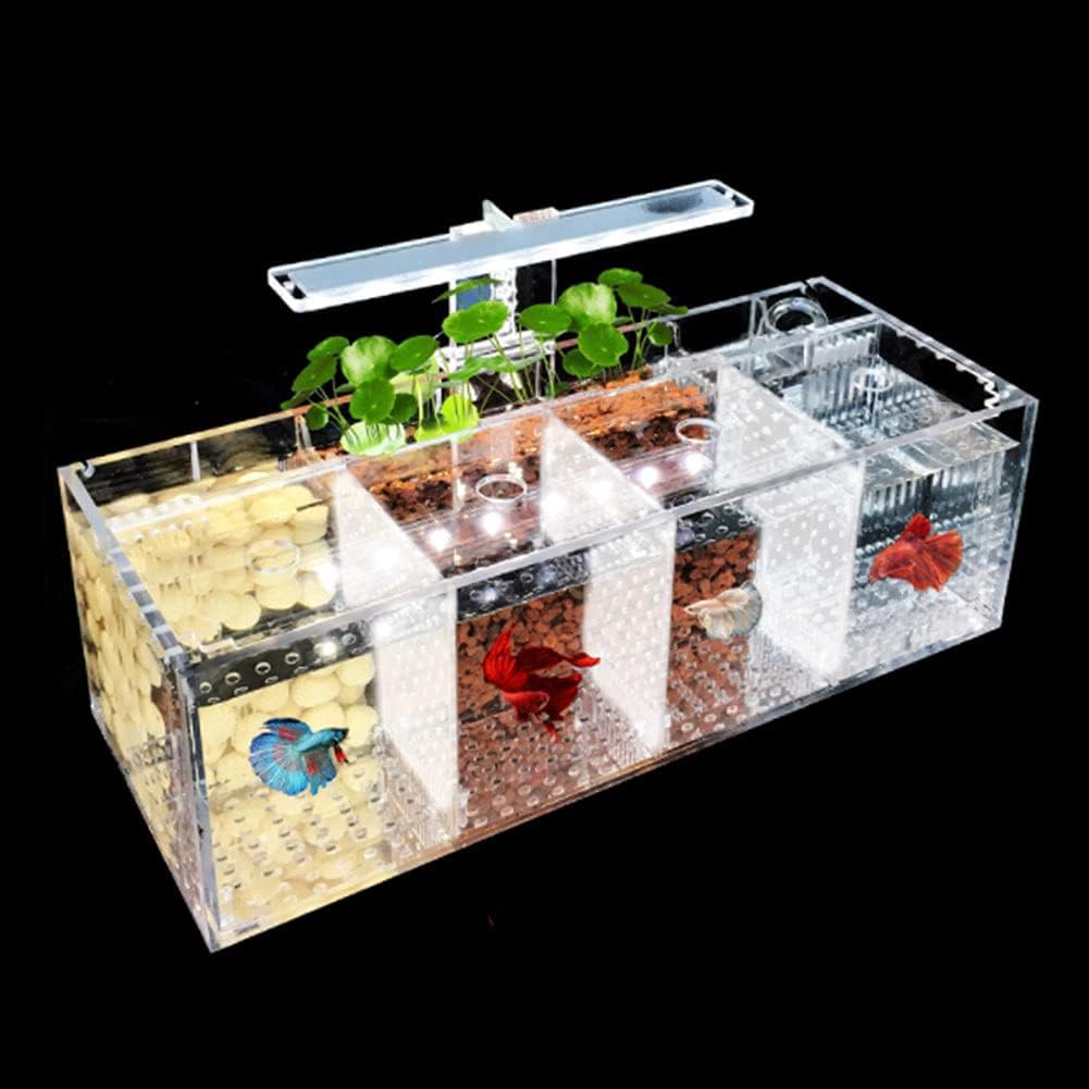 Acuario LED Acrílico, Tanque De Pescado Betta Profesional, Kits De Inicio De Acuario Transparente, Pez Acrílico Ultra Transparente, Escritorio Sin Borde De Pescado Betta,3 Room