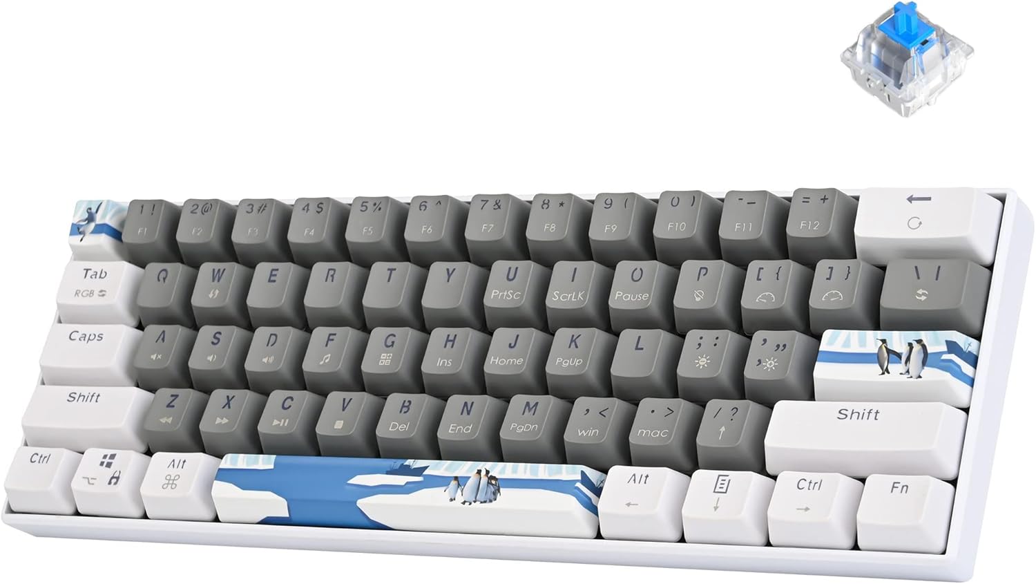 60% Mechanical Keyboard 61-Key Wired Gaming Keyboard with Blue Switch RGB Lighting Effect Pbt Backlit Keycaps Suitable for Win/Mac (Grey-Blue swicth)