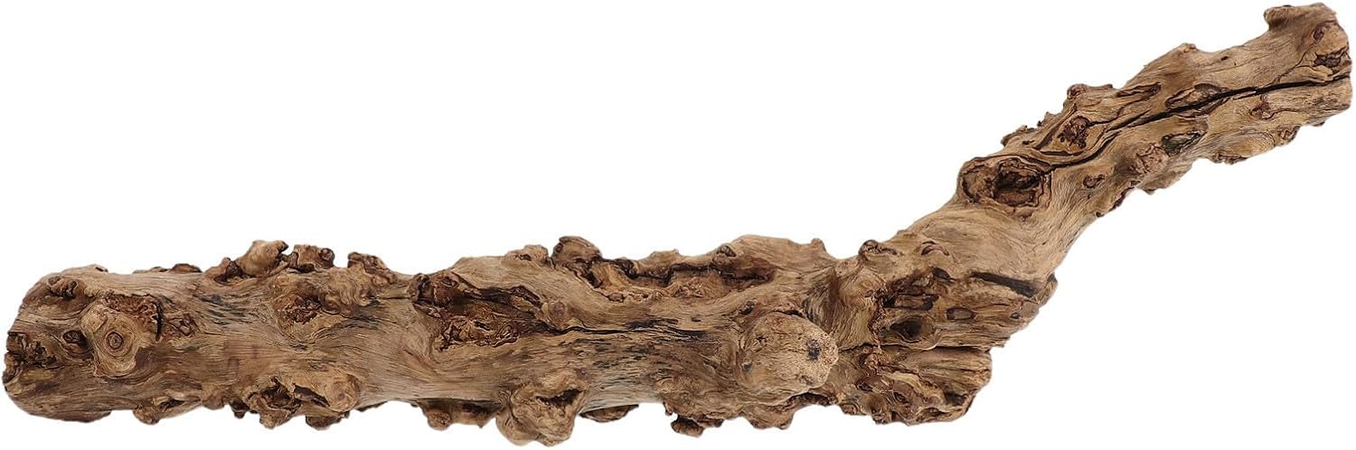TEHAUX Reptile Climbing Branch with Sturdy Wood Material Natural Wood 11.8-15.7 Inch and Tank Displays for Terrarium Decor Lizard and Reptile Climbing Surface