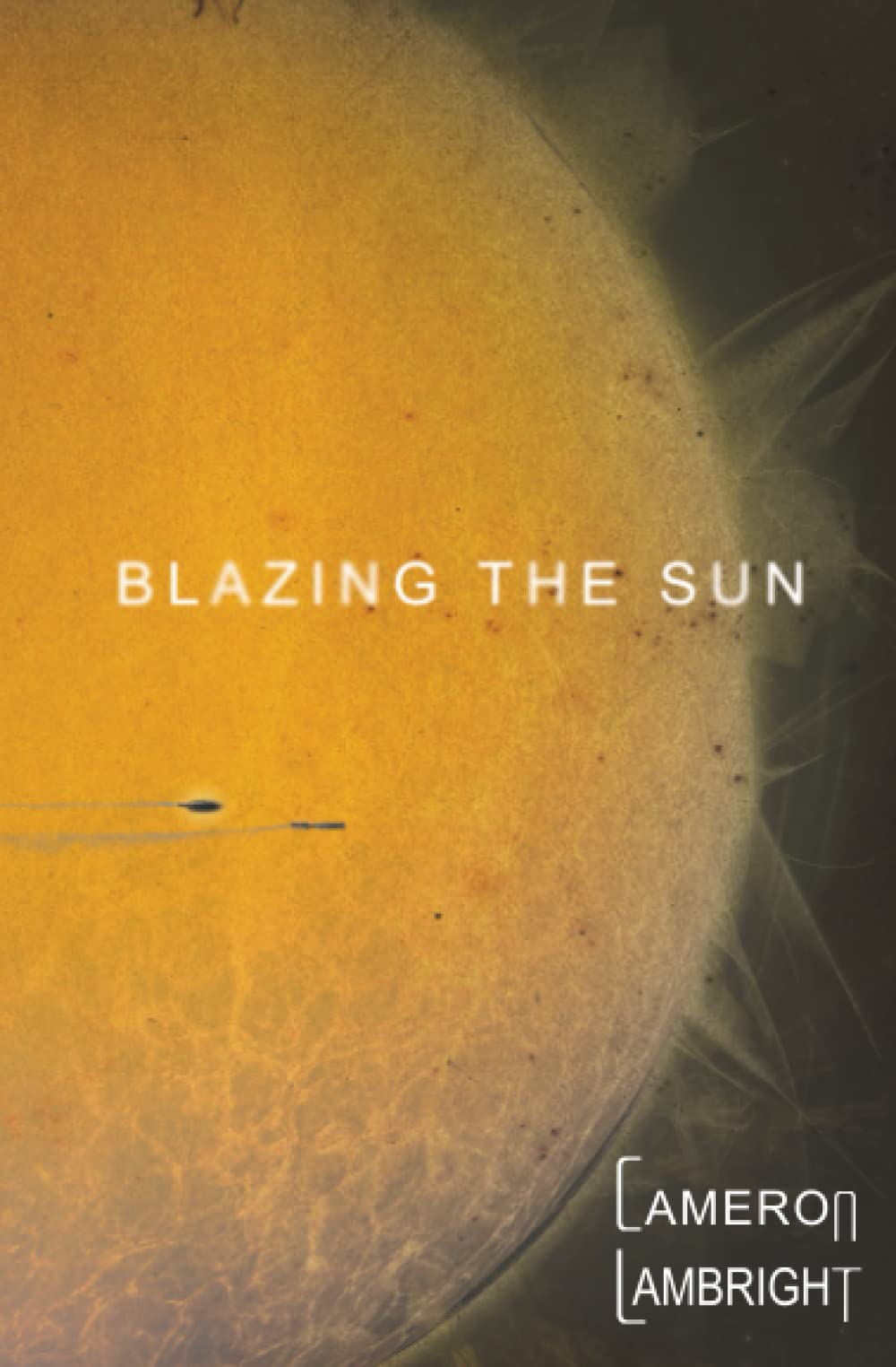 Book cover for The Saga of the Sun series