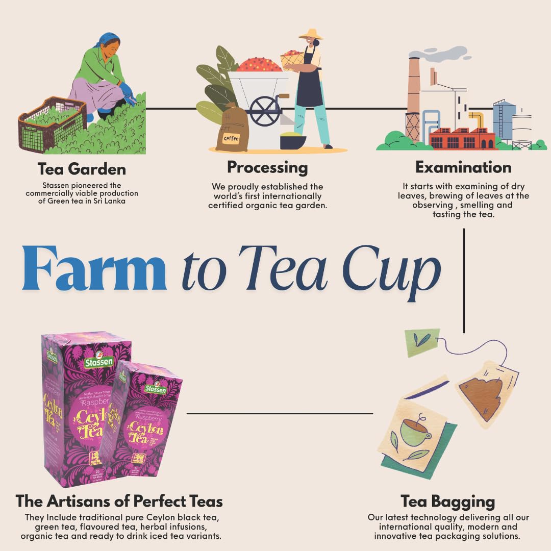 The Infinity Box Ceylon Raspberry Tea | 25 Tea Bags (1.5g Each) | Imported from Sri Lanka | Naturally Caffeine-Free, Fruity & Aromatic | Rich in Antioxidants | Enjoy Hot or Iced - Image 4 thumbnail