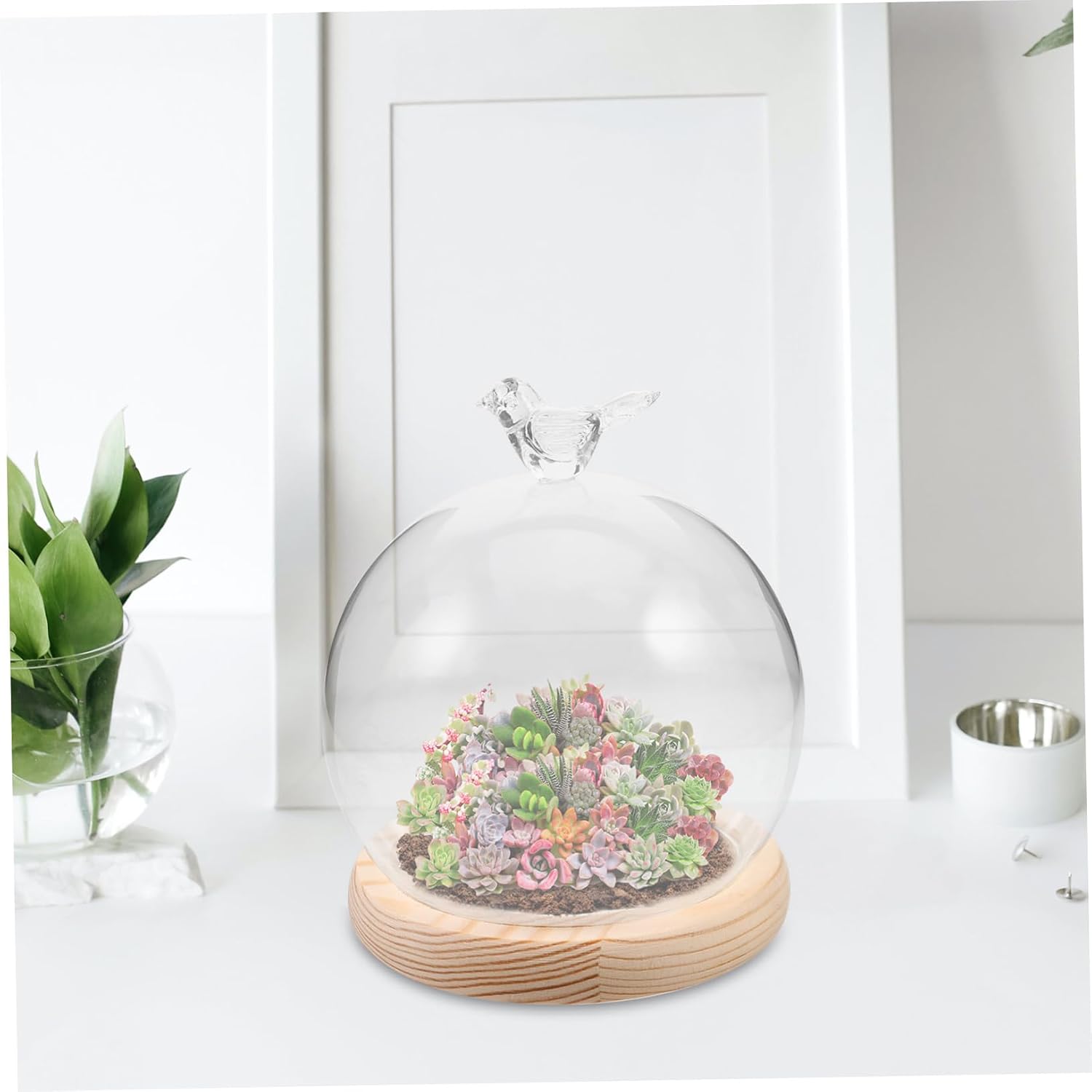 Glass Dustproof Cover for Preserved Flowers Creative Display Dome with Base Immortal Flower Glass Hood for Home Decor and Centerpieces