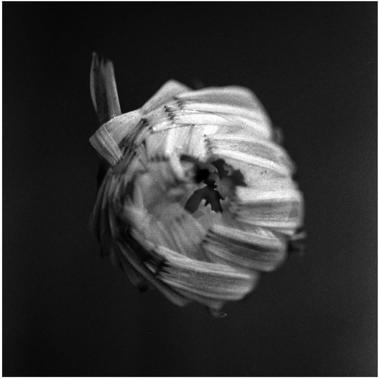 An Empire [VINYL]