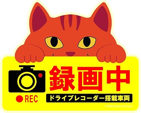 Amazon かわいい猫のドライブレコーダー録画中マグネットサイン チャトラ猫 サイン マーク 車 バイク