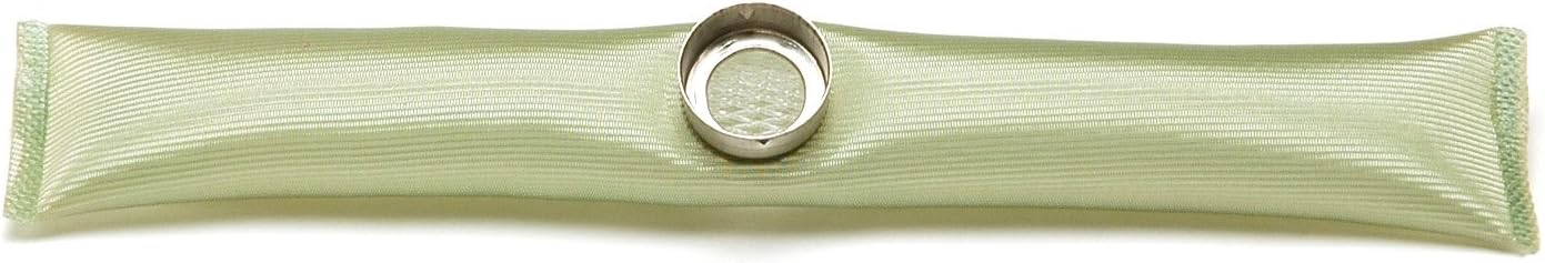 Delphi FS0029 Fuel Pump Strainer