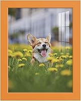 Vista 30 de Renditions Gallery - Marco para fotos de 11x14 pulgadas de estilo moderno de alta gama, hecho de madera maciza y cristal de alta definición listo