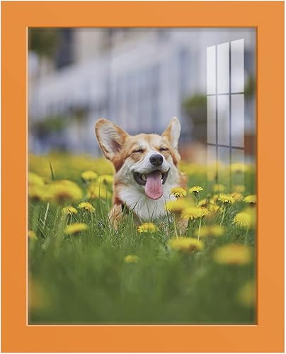 Miniatura 30 de Renditions Gallery - Marco para fotos de 11x14 pulgadas de estilo moderno de alta gama, hecho de madera maciza y cristal de alta definición listo