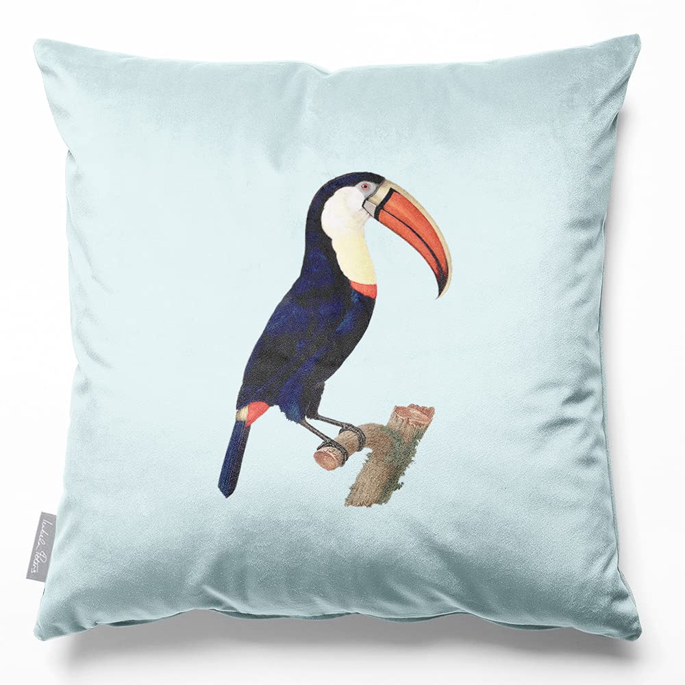 Izabela Peters Toucan - Duck Egg Blue Filled Cushions With Covers, Eco-Friendly Velvet, 40 Cm, For Chair, Sofa, Seat, Large
