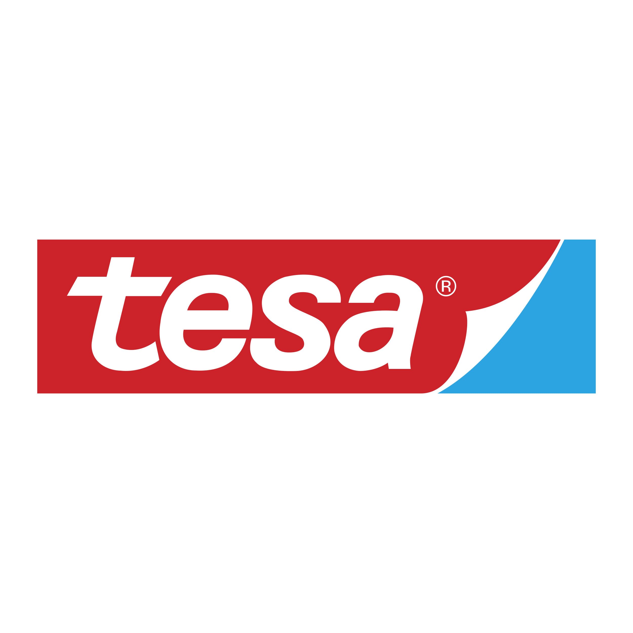 TESA - Cinta Adhesiva PP Transparente - Precinto - Paquete 18 rollos (66 m x 50 mm)