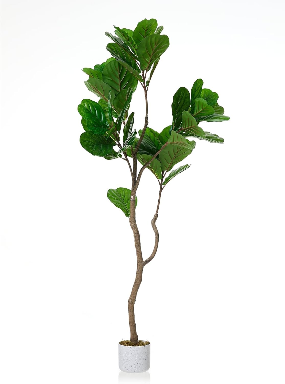 GarveeHome 5FT Artificial Fiddle Leaf Fig Tree in White Planter, 61" Tall Fake Plants Ficus Tree with Fake Moss and Trunk, Indoor Outdoor Faux Floor Plant for Home Office Living Room Decor