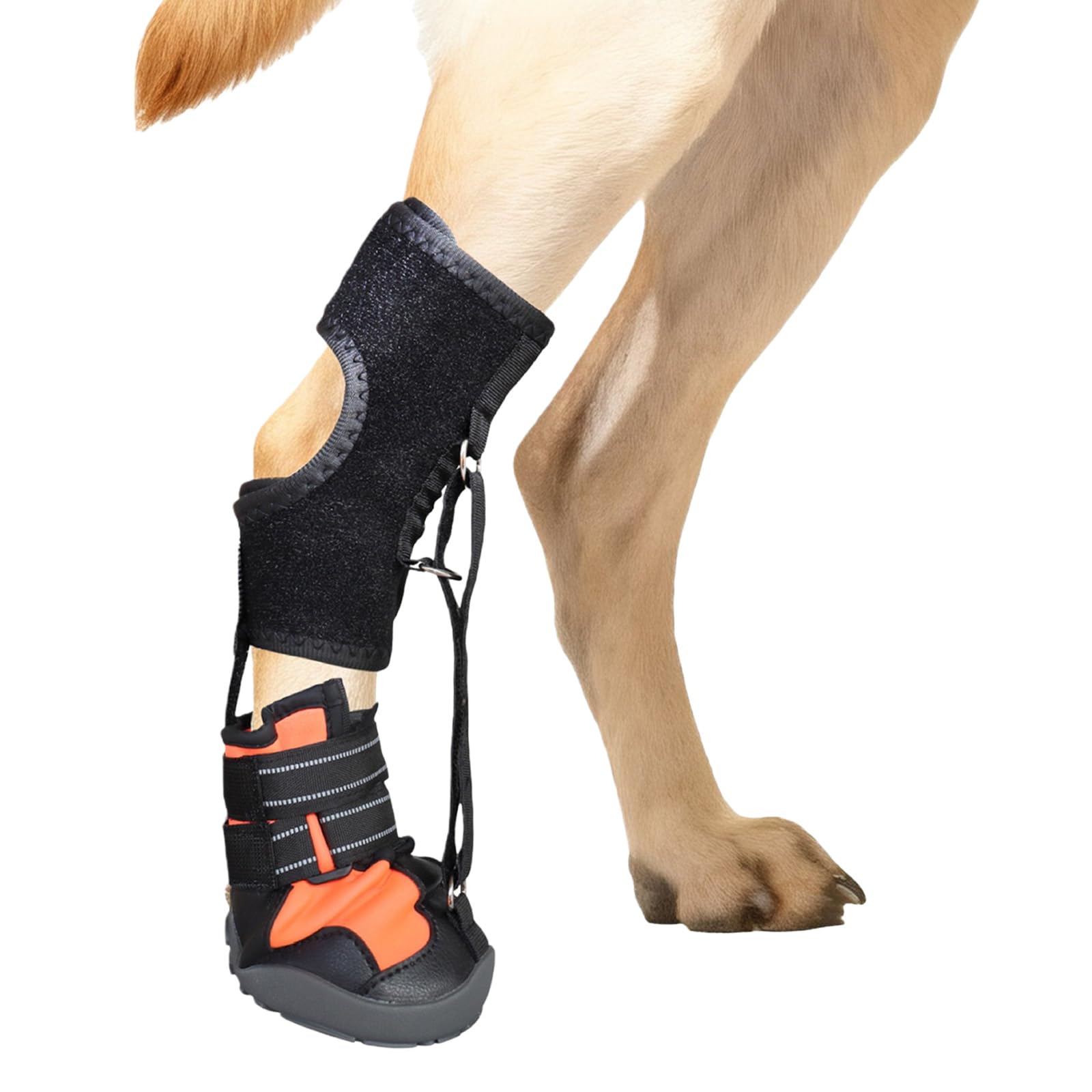 Not Knuckling Boot Brace Drops Foot Brace with Reel for Dog Corrective Dogs Shoes for Feet Issue,Improving Walking Gait Corrective Dog Shoes