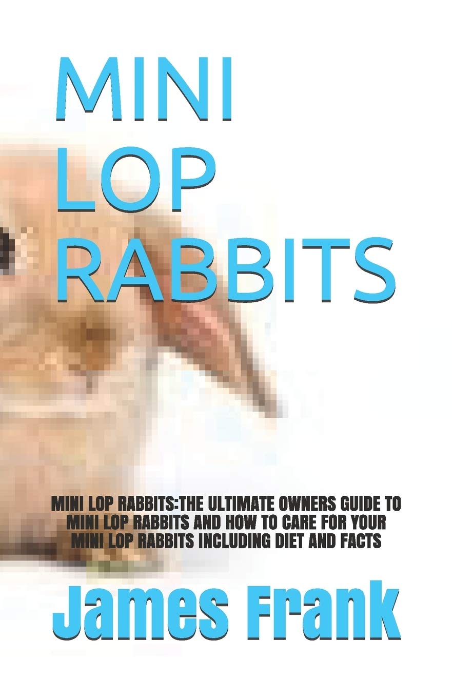 Buy MINI LOP RABBITS MINI LOP RABBITSTHE ULTIMATE OWNERS GUIDE TO