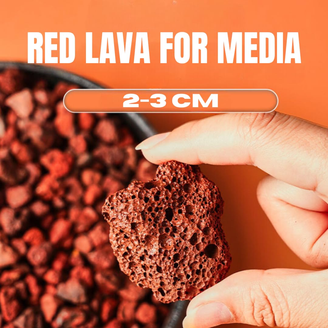 Red Lava Stone for Aquariums & Home Decor -2