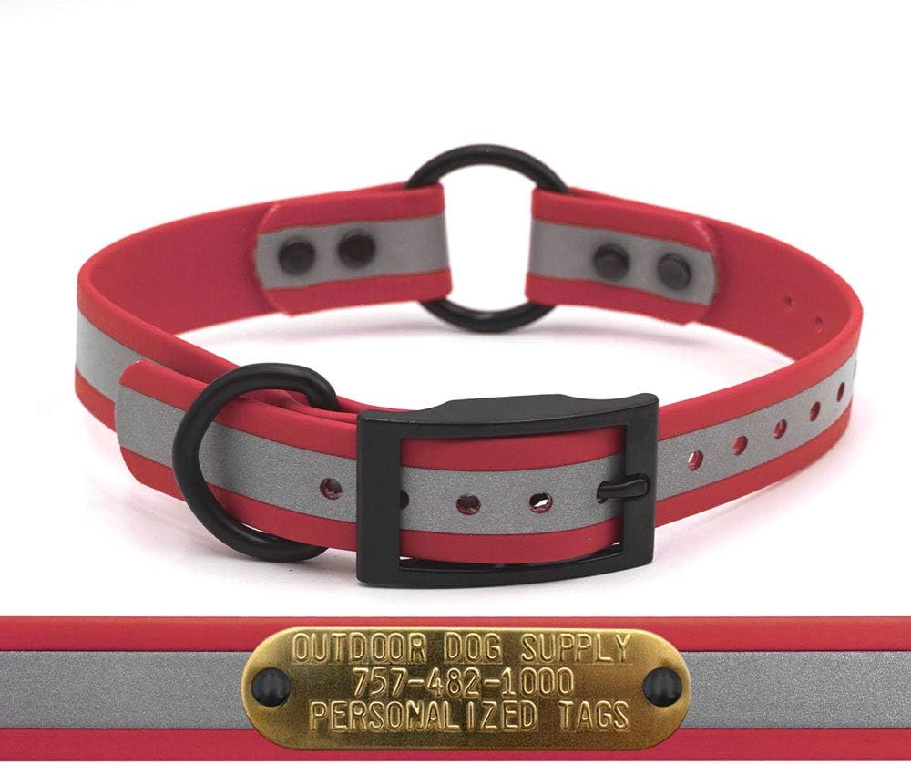SoftFlex Reflective 1" D & Center Ring Dog Collar with Custom 3/4" Brass Nameplate (21", Reflective Bubble Gum Pink)