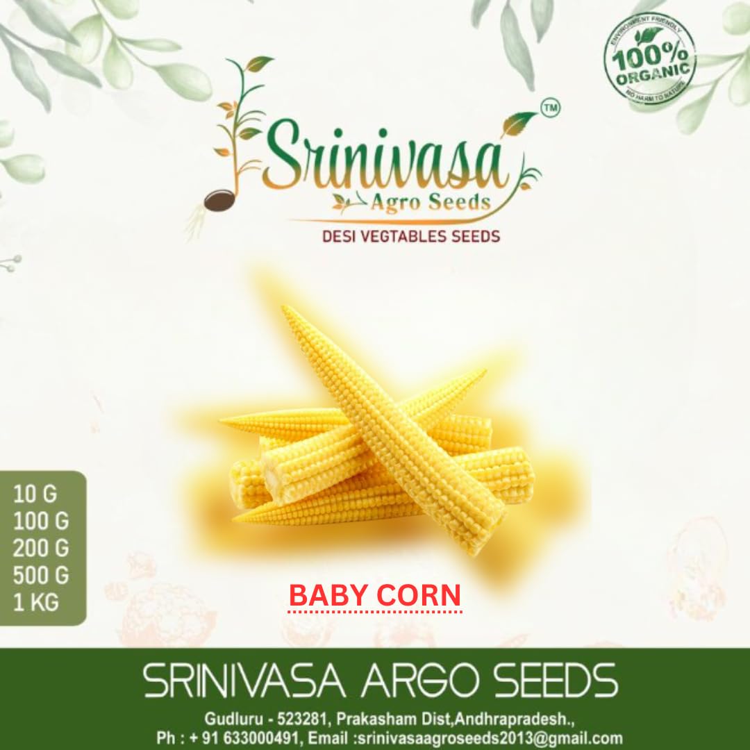 Srinivasa Agro Seeds Baby Corn | Farm Fresh Crispy Baby Corn | Small Corn | Bhutta Seeds For Home Gardening (1 KG) (B0C8MSFYWF) Amazon Price History, Amazon Price Tracker