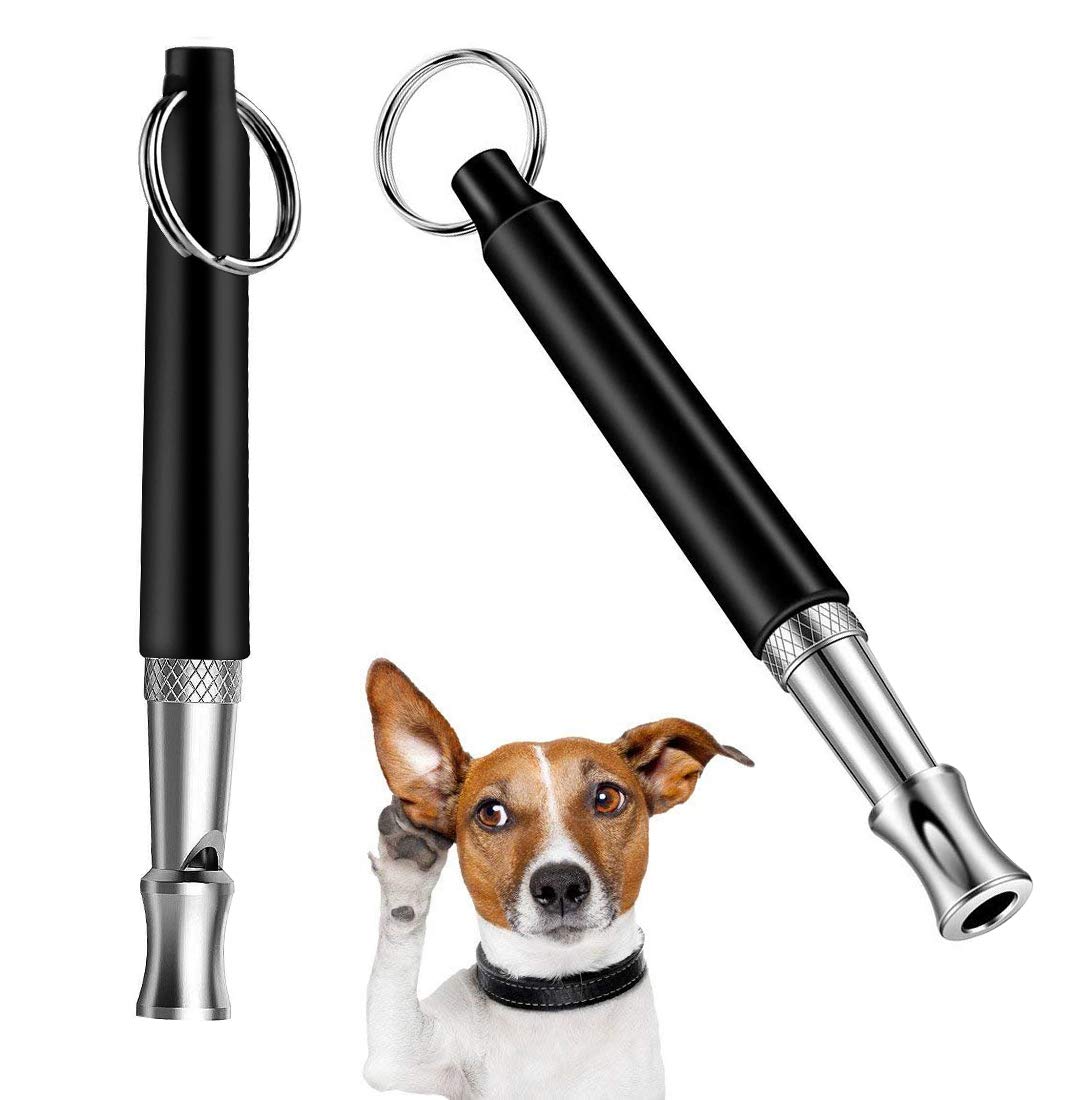 How Does A Dog Whistle Sound