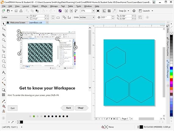 CorelDRAW Home & Student Suite X8 for PC (Old Version)