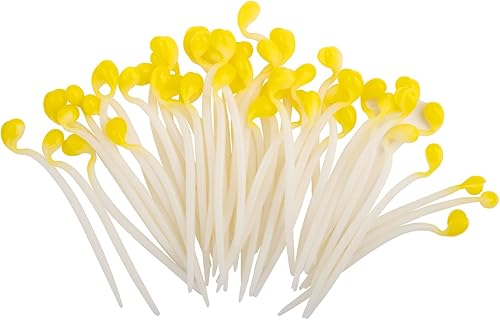 Hiawbon 50 piezas de brotes de frijoles artificiales, verduras falsas, brotes de frijol, simulación de plástico realista para casa, cocina, jardín,