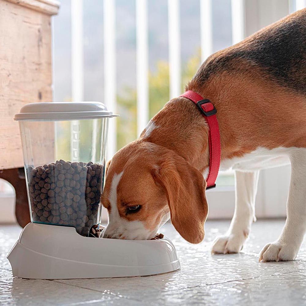 Ferplast Distributeur de croquettes pour Chiens et Chats Zenith, 3 litres, Distributeur de croquettes pour Animaux, Fond antidérapant, 20,2 x 29,2 x h 28,8 cm Bleu