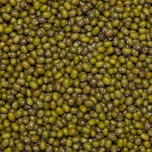 Wholefood Earth Bio-Mungbohnen 2kg | GVO-frei | Vegan | Ballaststoffreich | Proteinreich | Zertifiziert biologisch