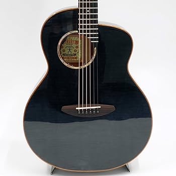 ギター aNueNue Model Bird L77 aNN-L77E aNueNue Model Bird L77 aNN-L77E