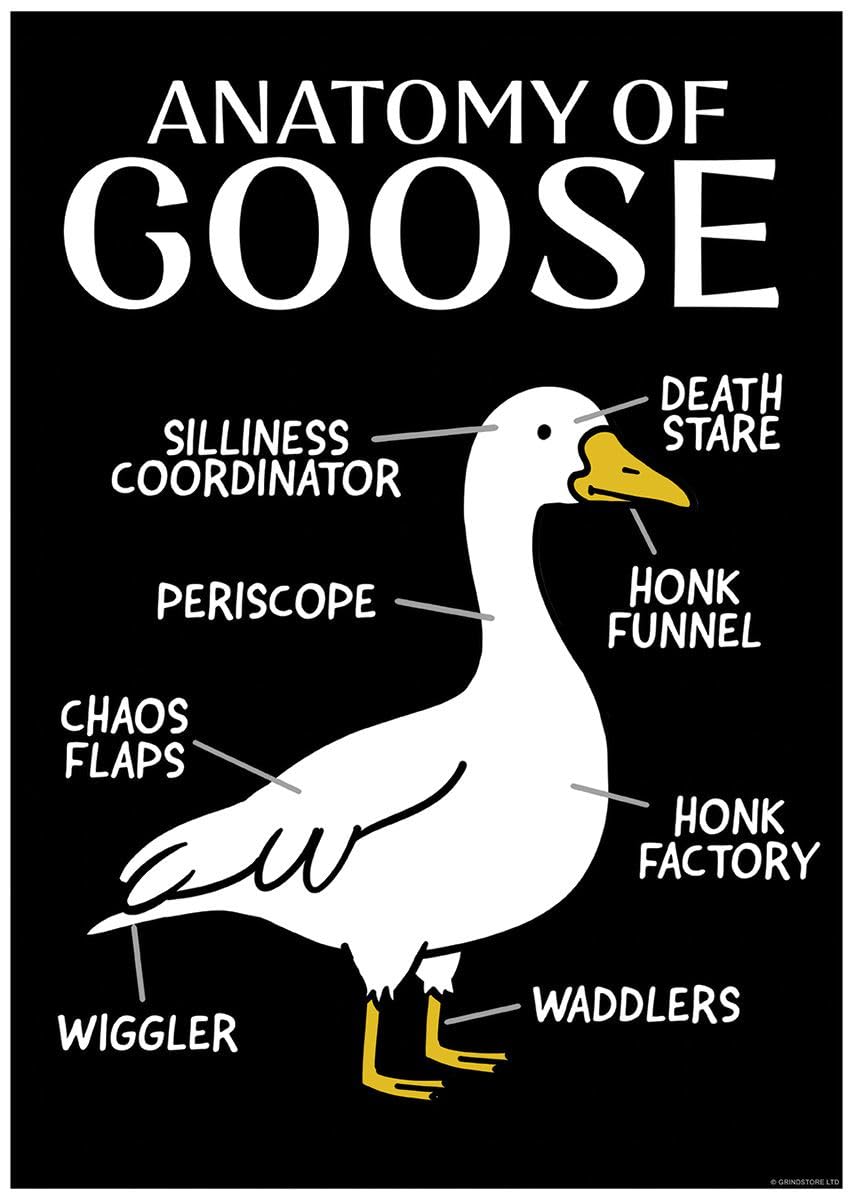 Grindstore Multicolour Silly Goose Anatomy Of A Goose Mini Poster
