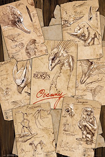 GB eye LTD, Animales fantásticos y dónde encontrarlos, Notas del Terreno, Maxi Poster 61 x 91,5 cm