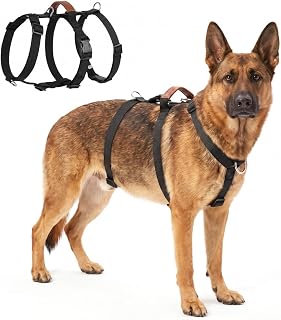 Hundsele som går sönder med kontrollhandtag för medelstora hundar | Justerbar, ingen dragning, snabblås, PU-läder, bredare och förtjockat handtag, 3 D-ringar