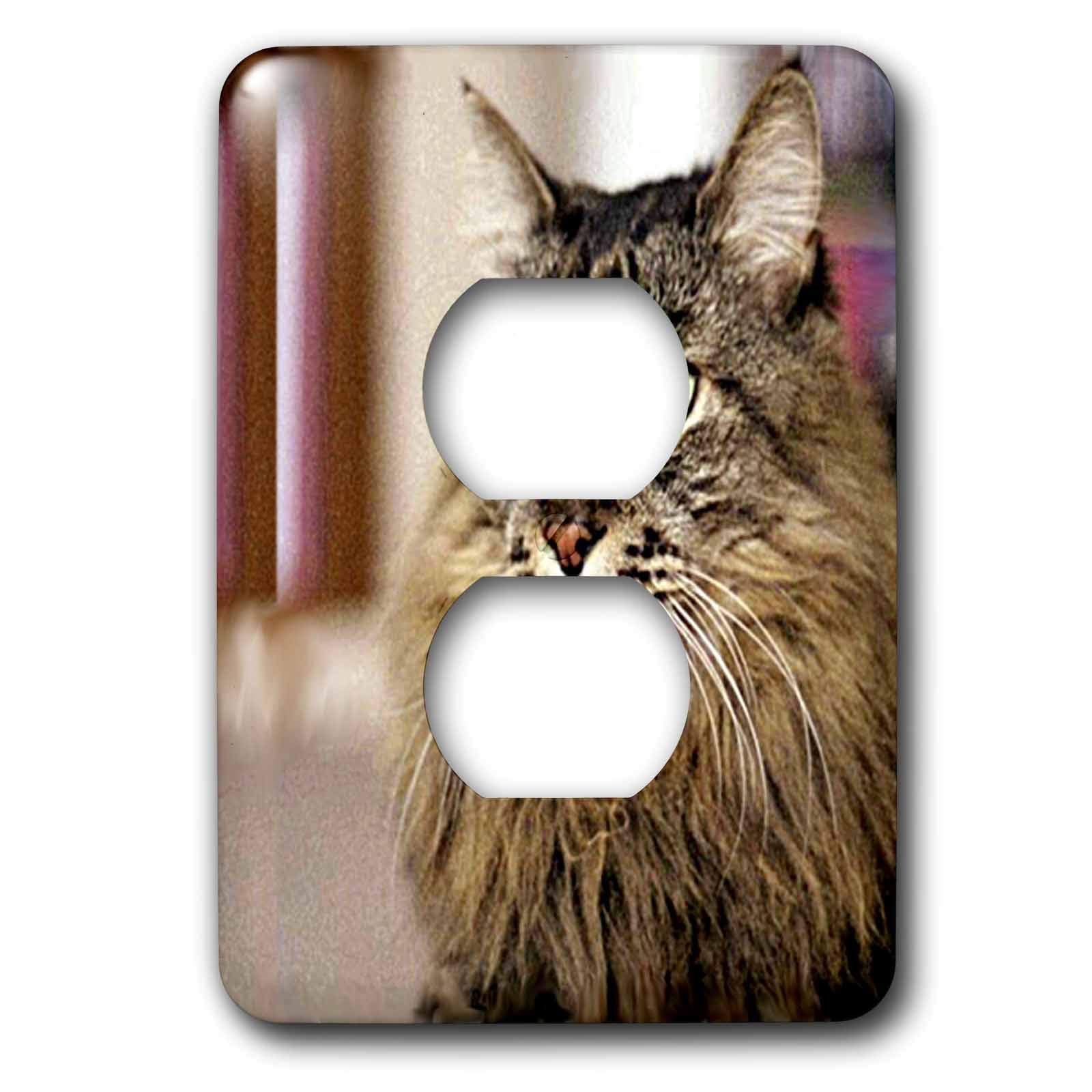 Maine Coon 2 prises finition soignée plaque décorative 3dRose lsp_305_6