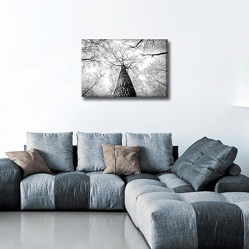 Vista 450 de 1 lienzo decorativo para pared, ferrocarril a través del bosque de pinos con niebla, decoración moderna para el hogar, sala de estar, arte de pared