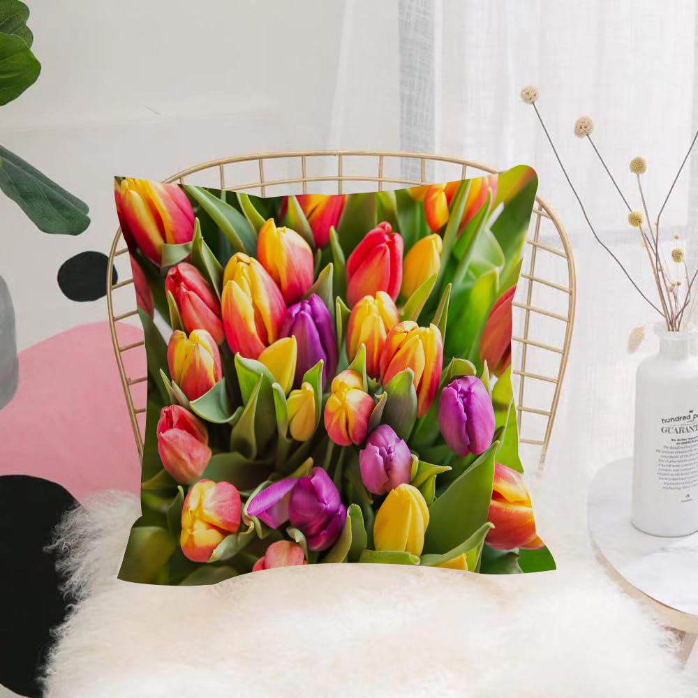 HYMSXW Cushion Cover,Throw Pillow Case Home Decorative for Living Room Bedroom Sofa Chair 20X20 Inch,Green Beautiful Bouquet Colorful Tulips Spring Flowers 8 March Nature Beauty Bl,Pillowcase 50X50cm