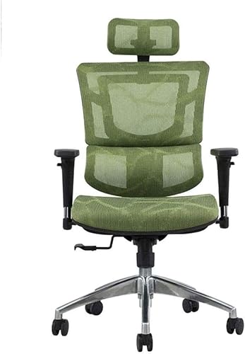Commercial Ergonomic High Back Executive Mesh Chair, with Adjustable Lumbar Support, Headrest and 3D Armrests(D)