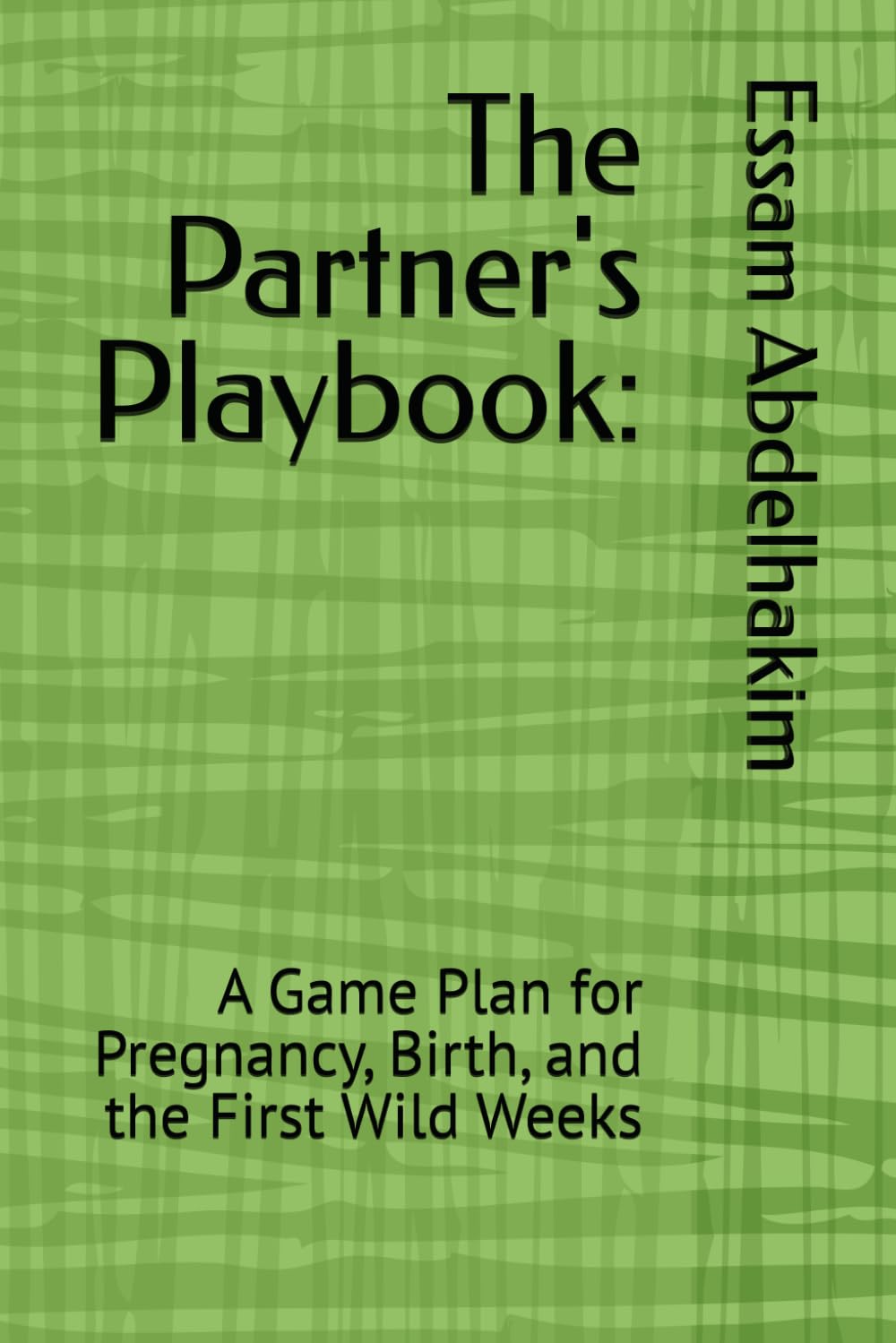 The Partner's Playbook:: A Game Plan for Pregnancy, Birth, and the First Wild Weeks: 22 (living well)