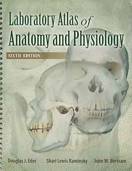 健康・医学 ATLAS OF HUMAN ANATOMY 6th EDITION Atlas of Human Anatomy (6th Edition) by Frank H. Netter