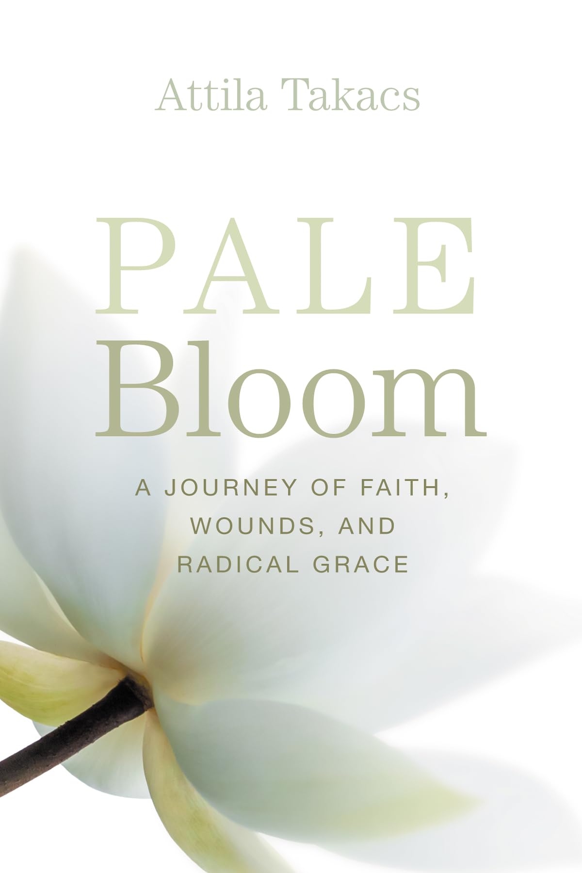 Pale Bloom: A Journey of Faith, Wounds, and Radical Grace