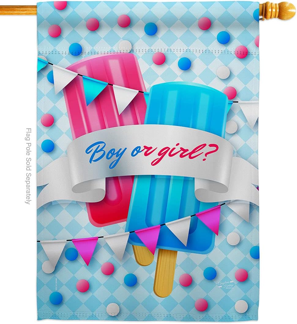 Gender Reveal House Flag Celebration New Born Baby Shower Boy Girl Occasion Anniversary Party Decoration Banner Small Garden Yard Gift Double-Sided, Made in USA