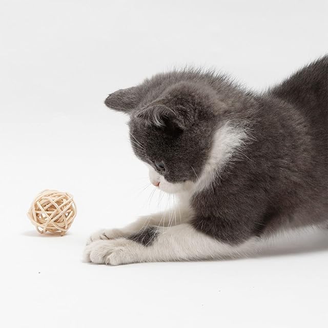 Foto 7 de 7 de BIGULA Juguete interactivo de bola de ratán con pajilla para gatos pequeños