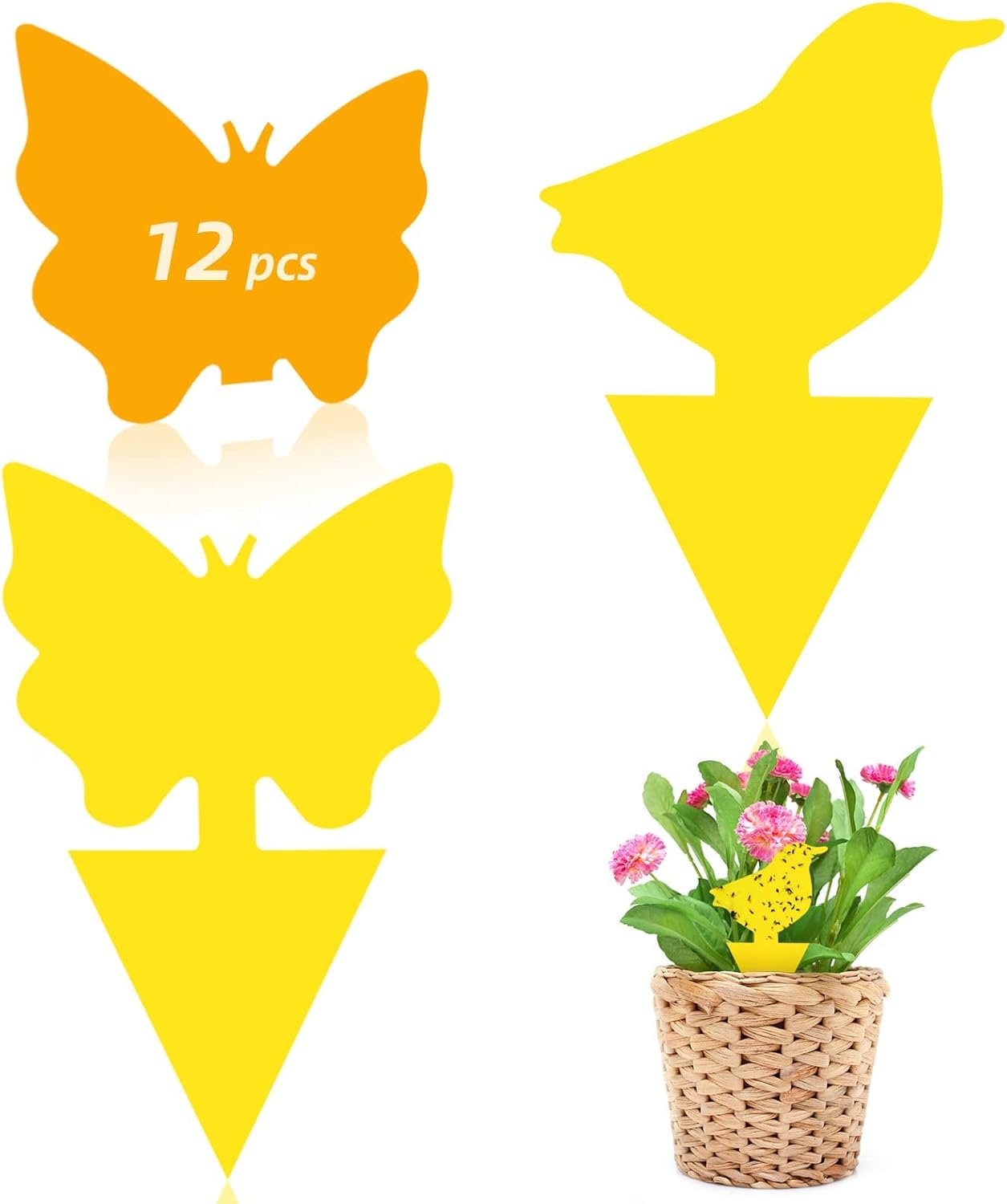 Sticky Traps Gnat Killer Indoor, Gnat Traps for House