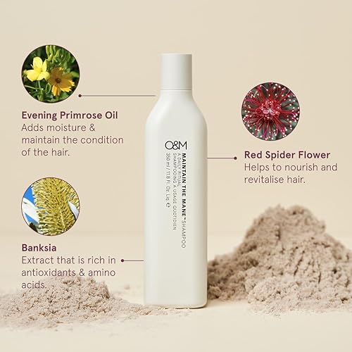 Miniatura 3 de O&M Maintain The Mane - Champú hidratante natural vegano diario para mujeres y hombres, provitamina B5, cuidado diario seguro de belleza + cuidado