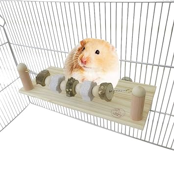 ZARYIEEO Hamster Wooden Springboard with Molar Teeth Mineral Stone, Parrot Wooden Stand Platform, Small Animal Swing Springboard Toys Accessories for Cockatiels Parakeets