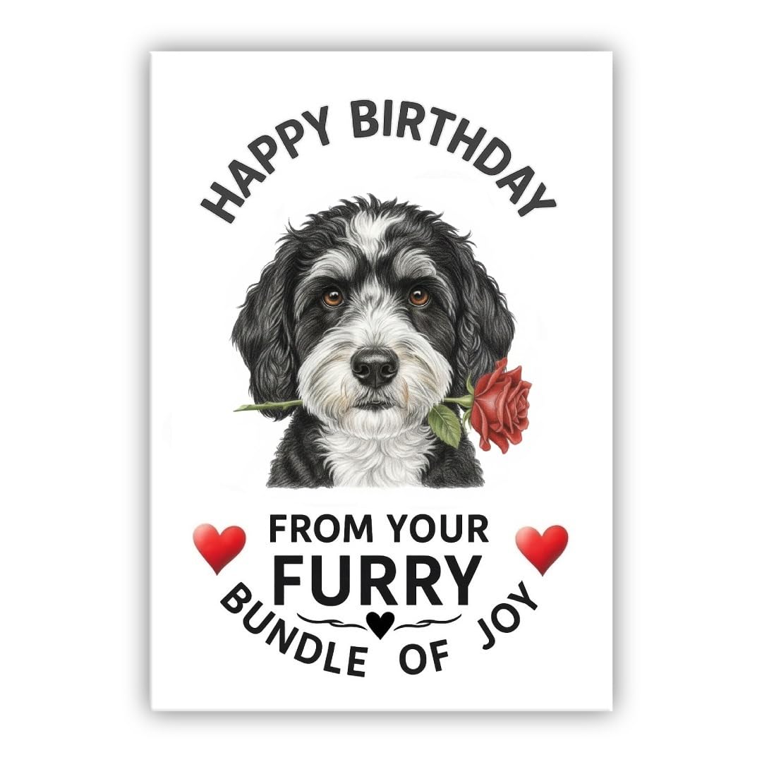 Birthday Card From the Dog – Multiple Breeds Available – Cute & Funny Pet Birthday Card – Dogs Lover Gift (• Cavapoo black and white– Cavoodle)