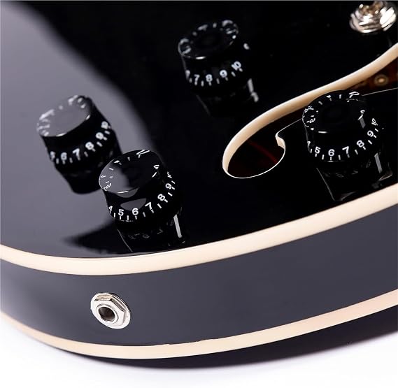 Professional Electric Guitar Maple Neck Electric Guitar Black Semi Hollow Body Hue Coil Pickups With F Hole