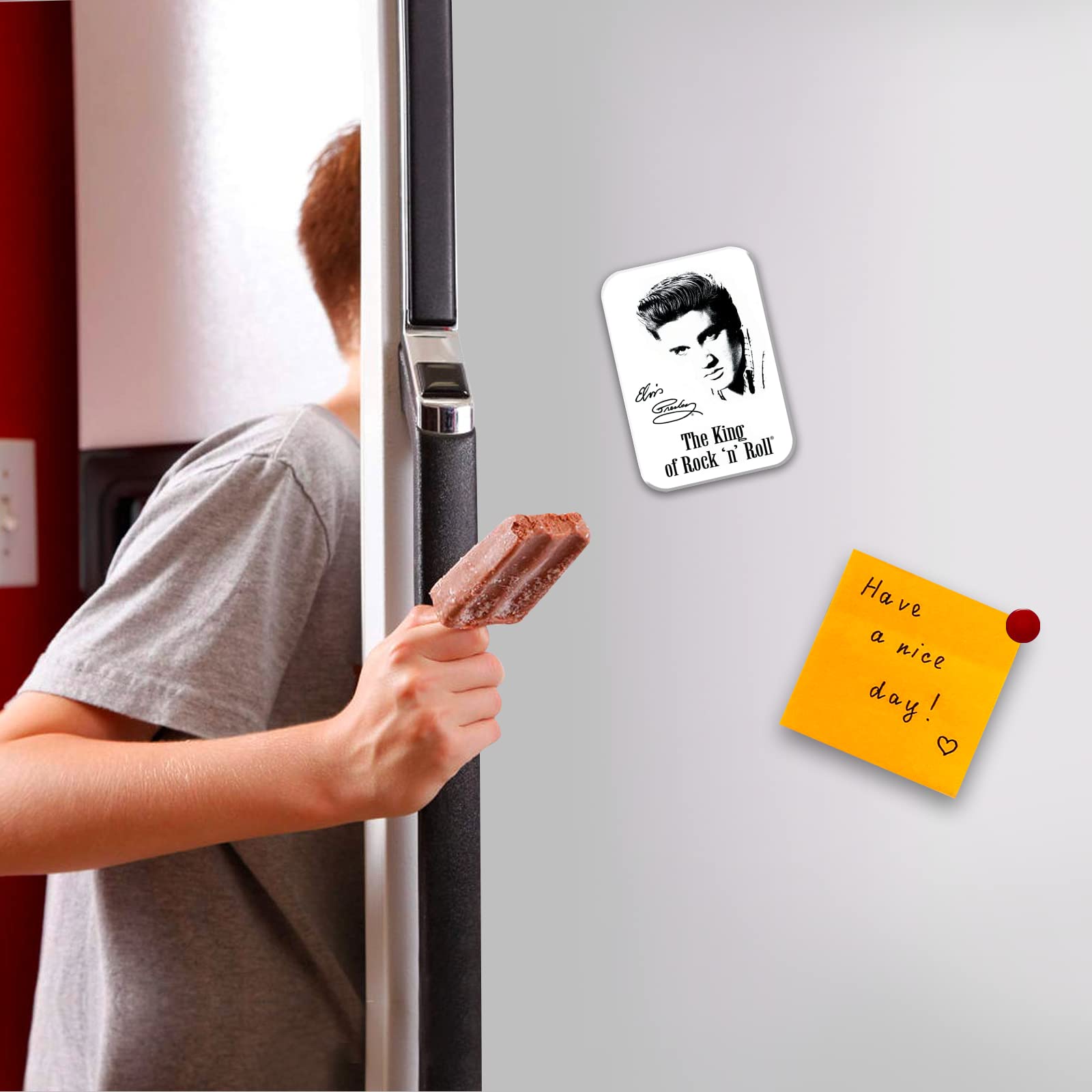 アメリカン　ヒーロー　プレートインテリア　エルビス・プレスリー　マグネット Amazon.com: Desperate Enterprises Elvis - Signature