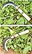 FINPAN Gartenarbeit japanische Gras Stahl Sichel,Handsichel-Werkzeug, Gras-Sichel,Sod-Sichel für Blumen-Bonsai NO.2188
