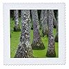 3dRose USA, South Carolina, Charleston. Tupelo Trees in Swamp Water. 12x12 inch Quilt Square #1