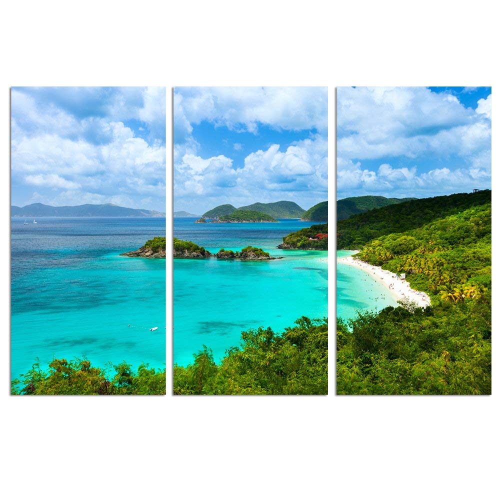 sechars - 3 Pieces Canvas Print Blue Sea Beach Pictures Paintings on Canvas Wall Art US Trunk Bay Virgin Islands Poster Ocean Landscape Artwork for Bedroom Home Decorations Each piece 12"x24"inches